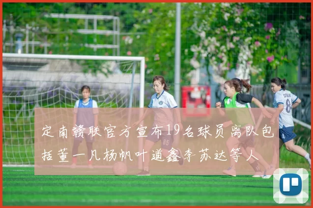 定南赣联官方宣布19名球员离队包括董一凡杨帆叶道鑫李苏达等人